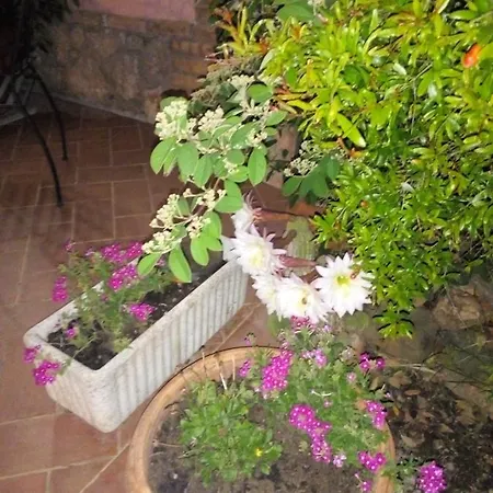 Agriturismo Da Paola Marsiliana