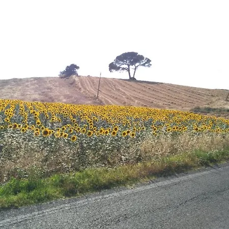 Farm stay Agriturismo Da Paola Marsiliana